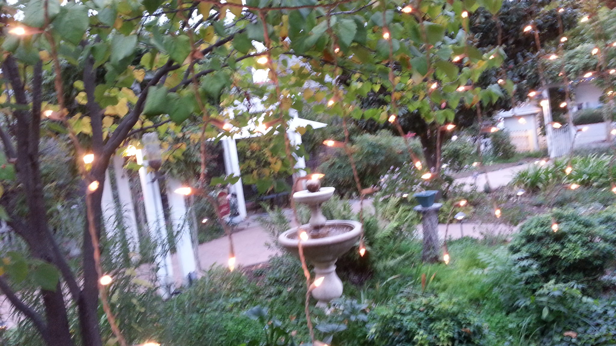 20171102_174758 The Cloverdale Historical Society;