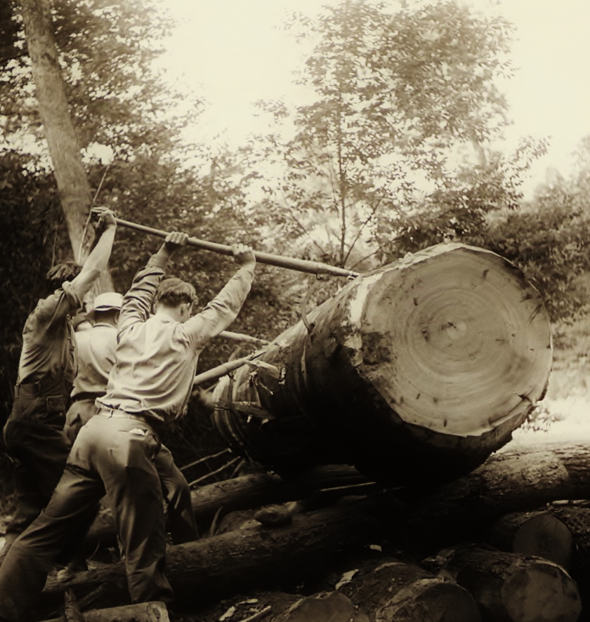 2F6074F4000005783360407imagea125_1450161188941 The Cloverdale